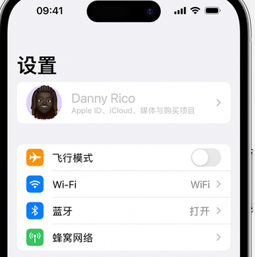 乌拉特中appleID维修服务iPhone设置中Apple ID显示为灰色无法使用 
