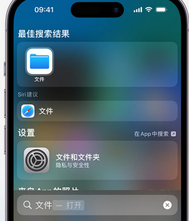 乌拉特中apple维修中心分享iPhone文件应用中存储和找到下载文件 