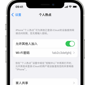 乌拉特中apple服务站点分享iPhone上个人热点丢失了怎么办