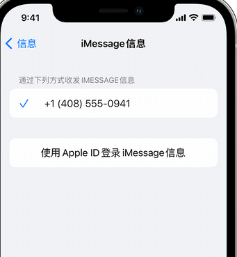 乌拉特中apple维修iPhone上无法正常发送iMessage信息 