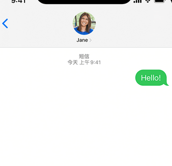 乌拉特中apple维修iPhone上无法正常发送iMessage信息