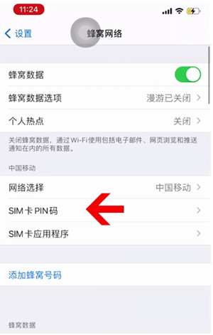 乌拉特中苹果14维修网分享如何给iPhone14的SIM卡设置密码 