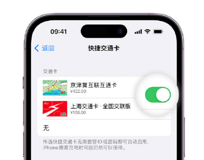 乌拉特中apple维修点分享iPhone上更换Apple Pay快捷交通卡手绘卡面 