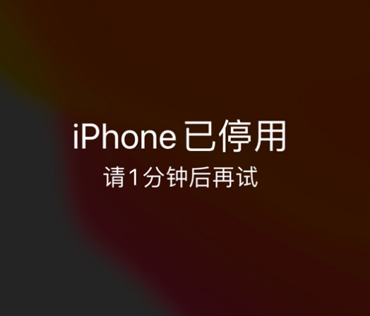 乌拉特中苹果手机维修分享:iPhone 显示“不可用”或“已停用”怎么办？还能保留数据吗？ 