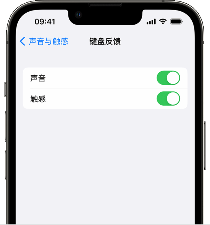 乌拉特中苹果14维修店分享如何在 iPhone 14 机型中使用触感键盘 