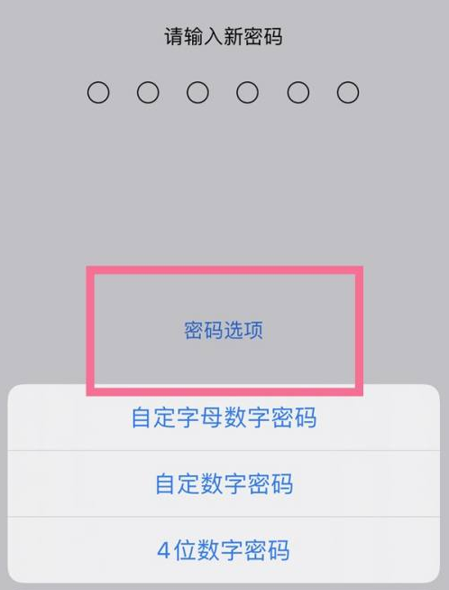 乌拉特中苹果14维修分享iPhone 14plus设置密码的方法 