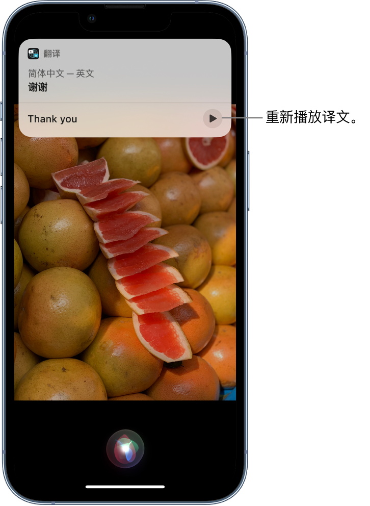 乌拉特中苹果14维修分享 iPhone 14 机型中使用 Siri：了解 Siri 能帮你做什么 