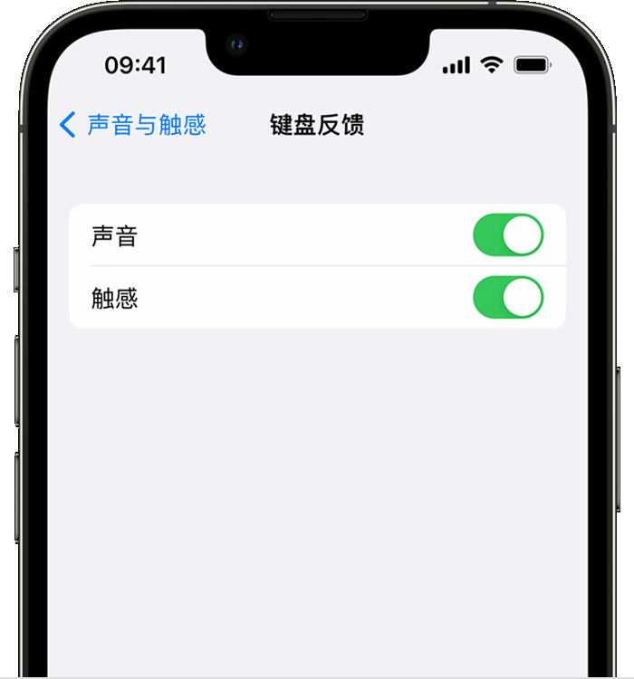 乌拉特中苹果14维修分享iPhone 14 系列机型如何开启键盘声音或触感反馈 