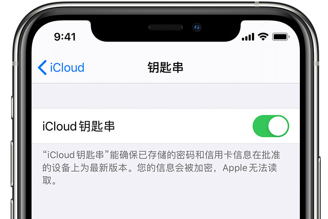 乌拉特中苹果手机维修分享在 iPhone 上开启 iCloud 钥匙串之后会储存哪些信息 