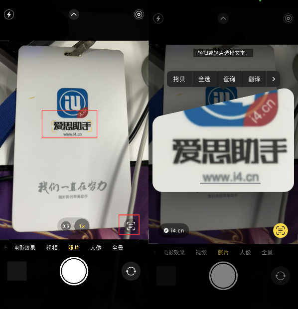 乌拉特中苹果手机维修分享升级iOS 16后如何通过相机翻译文本 
