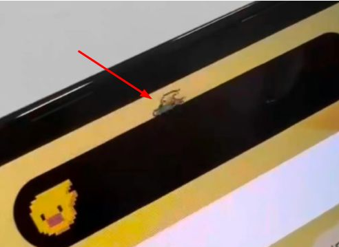 乌拉特中苹果14维修分享iPhone 14 Pro Max灵动岛怎么养宠物 