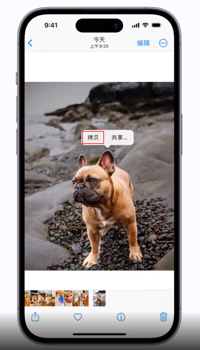 乌拉特中 苹果手机维修分享iOS 16 “照片”应用更新内容与改进汇总 
